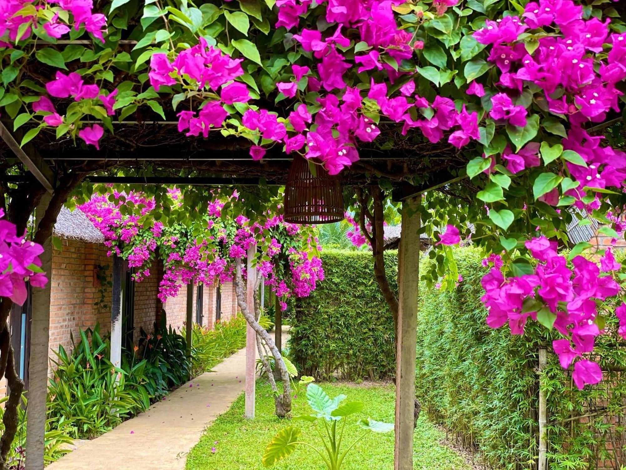 Enso Retreat Hoi An - Rediscovery & Serenity 外观 照片